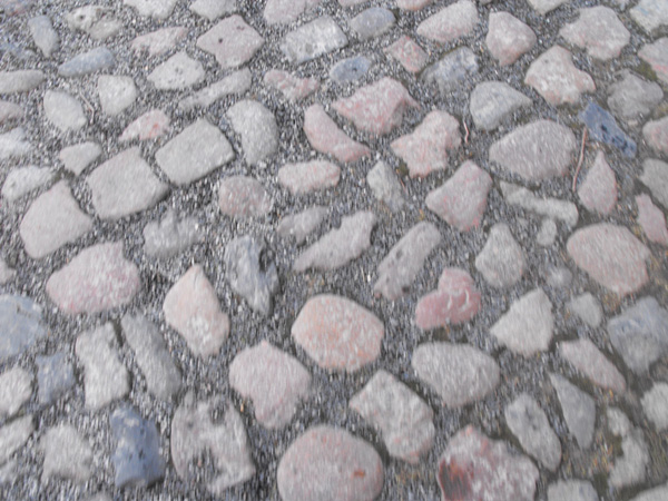 DSCF4599