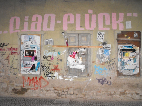 DSCF5688